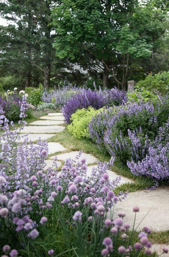 Vibrant lavender and ornamental chives line stone pathways in a tranquil garden, featuring purple flowers, dense shrubbery, and deciduous trees.
