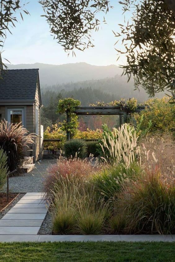 Thoughtfully designed budget backyard featuring ornamental grasses, a concrete path, and a pergola with climbing plants, ideal for modern outdoor spaces.