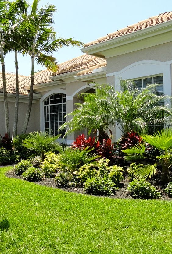 Intricately designed flower landscape features tropical plants, palm trees, and vibrant foliage against light stucco, with rich mulch borders.