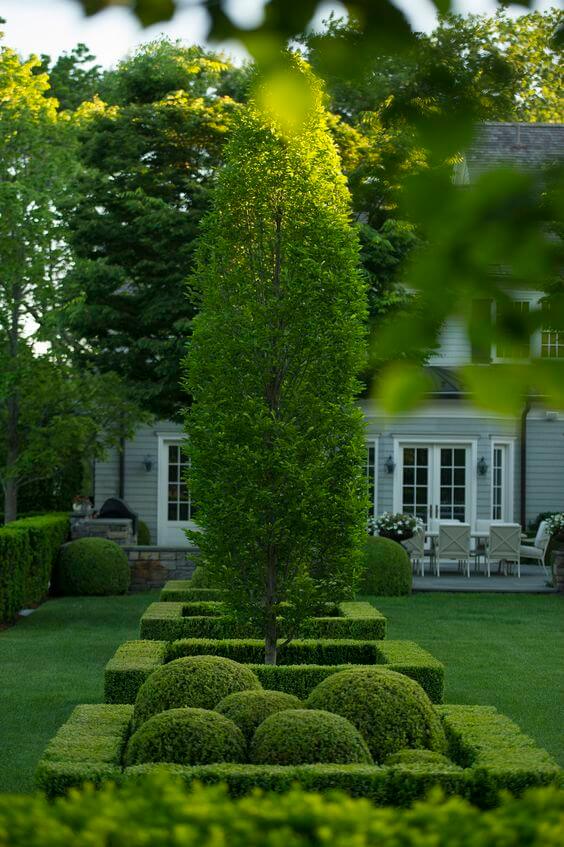 Meticulously designed flower landscape features a central columnar tree, trimmed hedges, and geometric low-growing topiaries, enhancing symmetry.