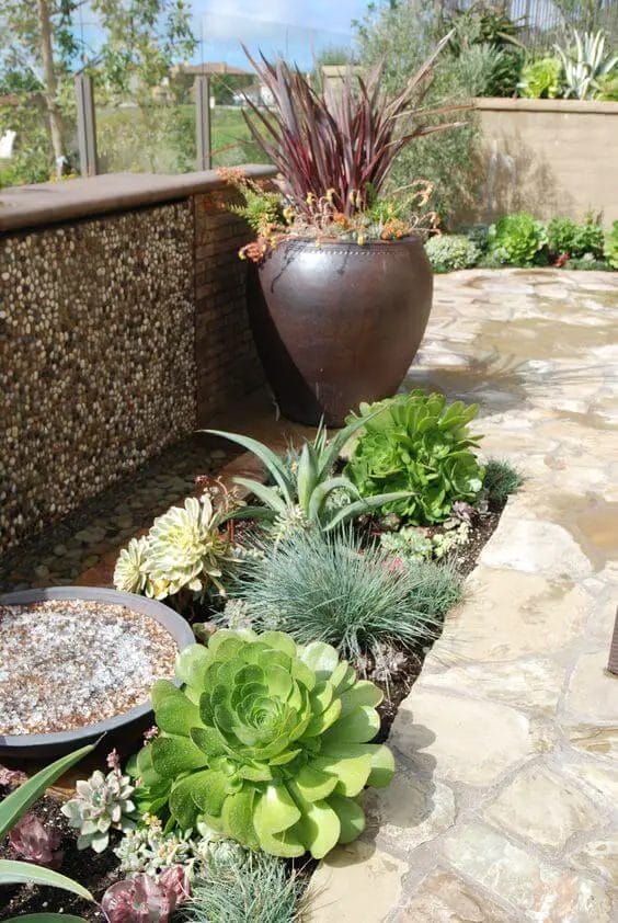 This time, succulent landscape design ideas are exactly what we meant to cover and our research promised not to disappoint our readers! Check more at backyardmastery.com