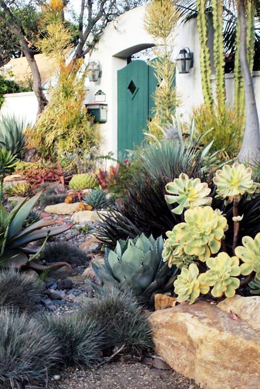 Desert garden design with succulents and drought-resistant plants. Features agave clusters, gravel mulch, and a white stucco wall.