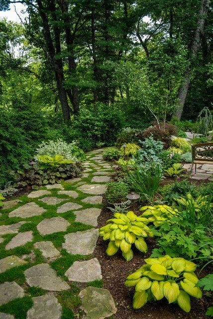 Pathway with natural stone slabs winds through a vibrant garden of hostas and ornamental shrubs, showcasing varied plant sizes and textures.