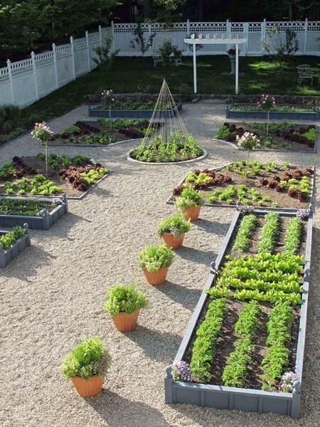Meticulously arranged vegetable garden with raised wooden planters, gravel pathways, and terracotta pots, enclosed by a white picket fence.