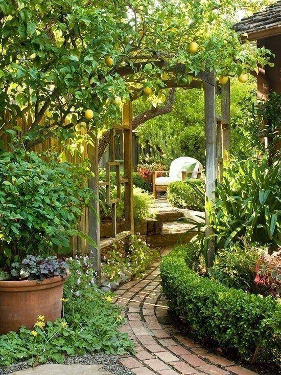 Winding red brick pathway edged by low hedges and flowering plants, leading to a seating area under a lemon tree trellis in a vibrant garden.