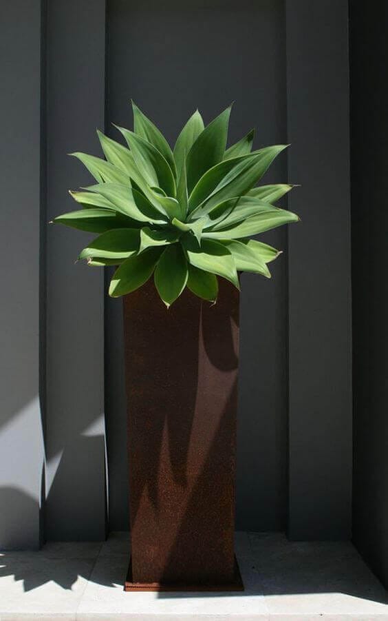 Succulent plant in a tall rust-colored metal planter, ideal for modern landscaping. Perfect for warm climates with minimal water needs.