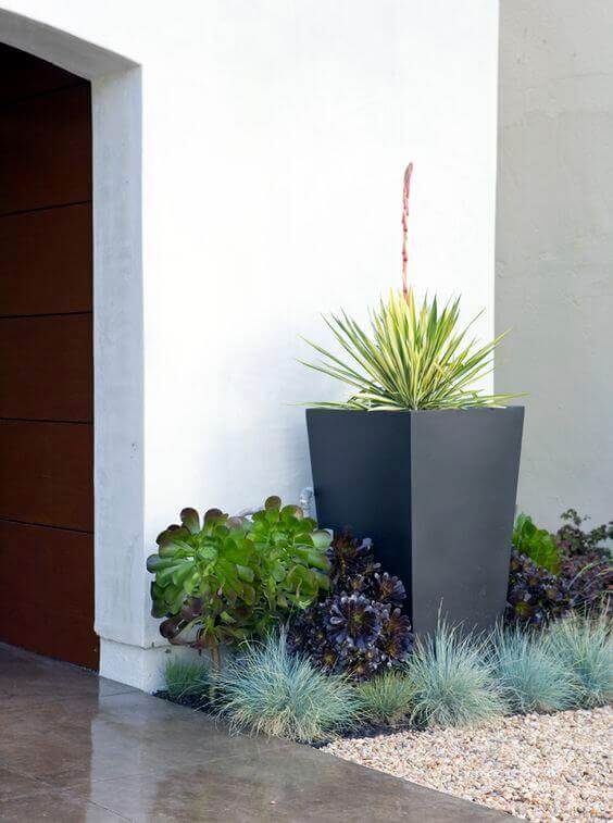 Modern planter boxes feature a tall succulent in a black planter, surrounded by low-maintenance foliage, set against a smooth tiled surface.