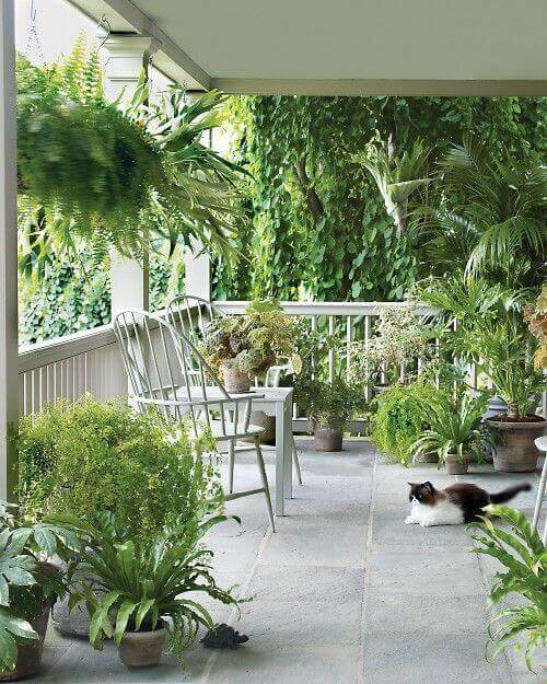 Cozy back porch featuring two metal chairs and a small table under a shaded area, surrounded by lush potted plants and light stone tiles.