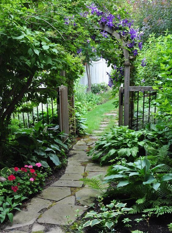 Lush garden pathway with a flagstone and gravel walkway, bordered by hostas and pink geraniums, under a wooden trellis with climbing plants.