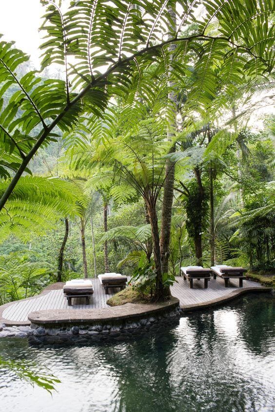 We found fantastic swimming pools surrounded by lovely landscapes complete with the best trees for pool landscape ideas you should not miss, especially if you are now designing or planning to renovate your yard. See more like this at backyardmastery.com