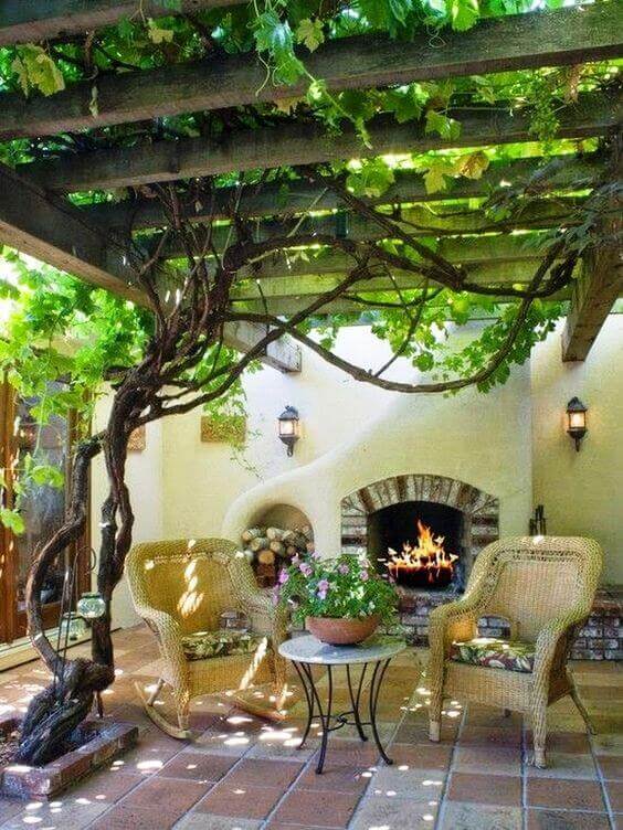 Patio with a vine-covered pergola offers shaded relaxation, featuring woven chairs, a wrought iron table, and a terracotta flower pot.