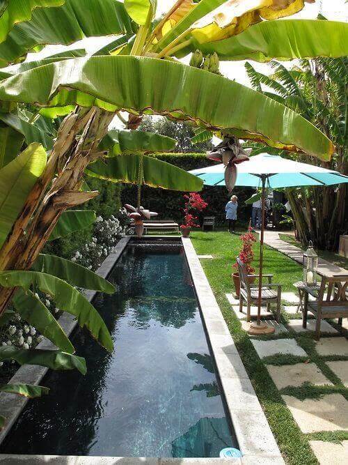 We found fantastic swimming pools surrounded by lovely landscapes complete with the best trees for pool landscape ideas you should not miss, especially if you are now designing or planning to renovate your yard. See more like this at backyardmastery.com