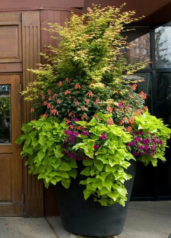 Do not think you need to follow everybodyâ€™s ideas of what tall garden troughs should look like, do use your imagination and match the planters to your gardenâ€™s theme and color pallet, along with the plants you choose. See backyardmastery.com for more ideas.
