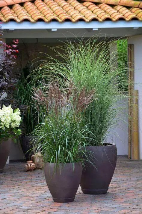Do not think you need to follow everybodyâ€™s ideas of what tall garden troughs should look like, do use your imagination and match the planters to your gardenâ€™s theme and color pallet, along with the plants you choose. See backyardmastery.com for more ideas.