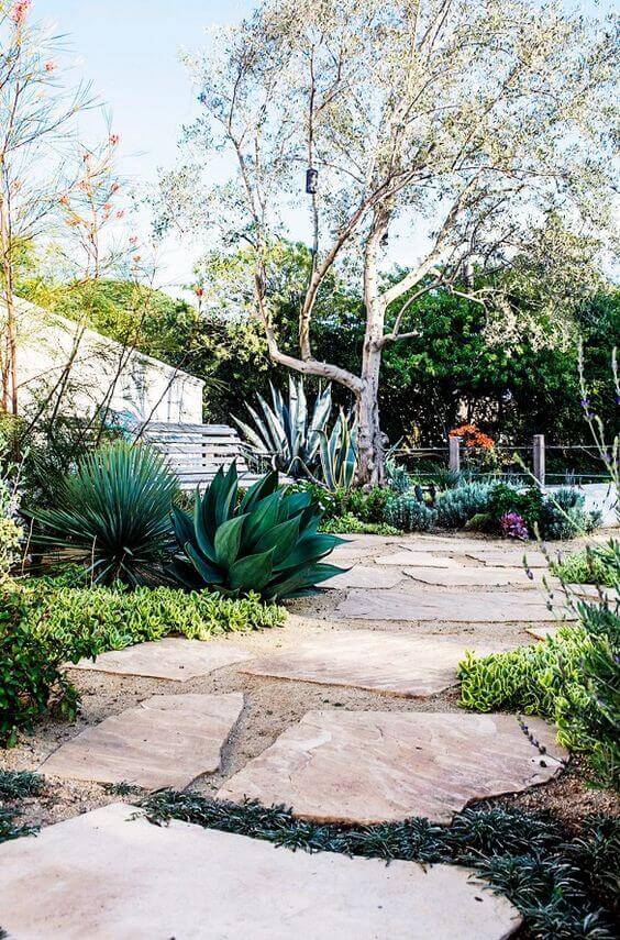 Natural flagstone walkway meanders through drought-resistant plants like agave and succulents, creating texture and visual interest.