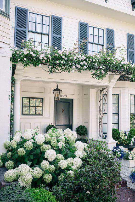 Front yard landscaping showcases vibrant hydrangeas with large white blooms, framing a brick-lined path to a wooden door, enhancing curb appeal.