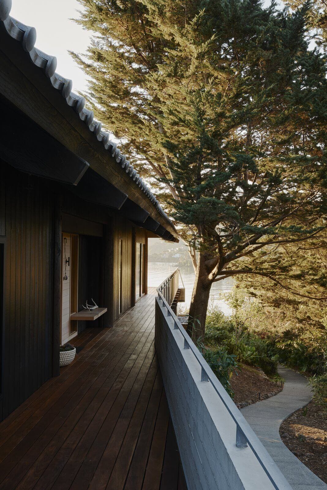 Long wooden deck with dark-stained planks, surrounded by a mature tree and a curved concrete pathway, showcasing modern design and coastal resilience.