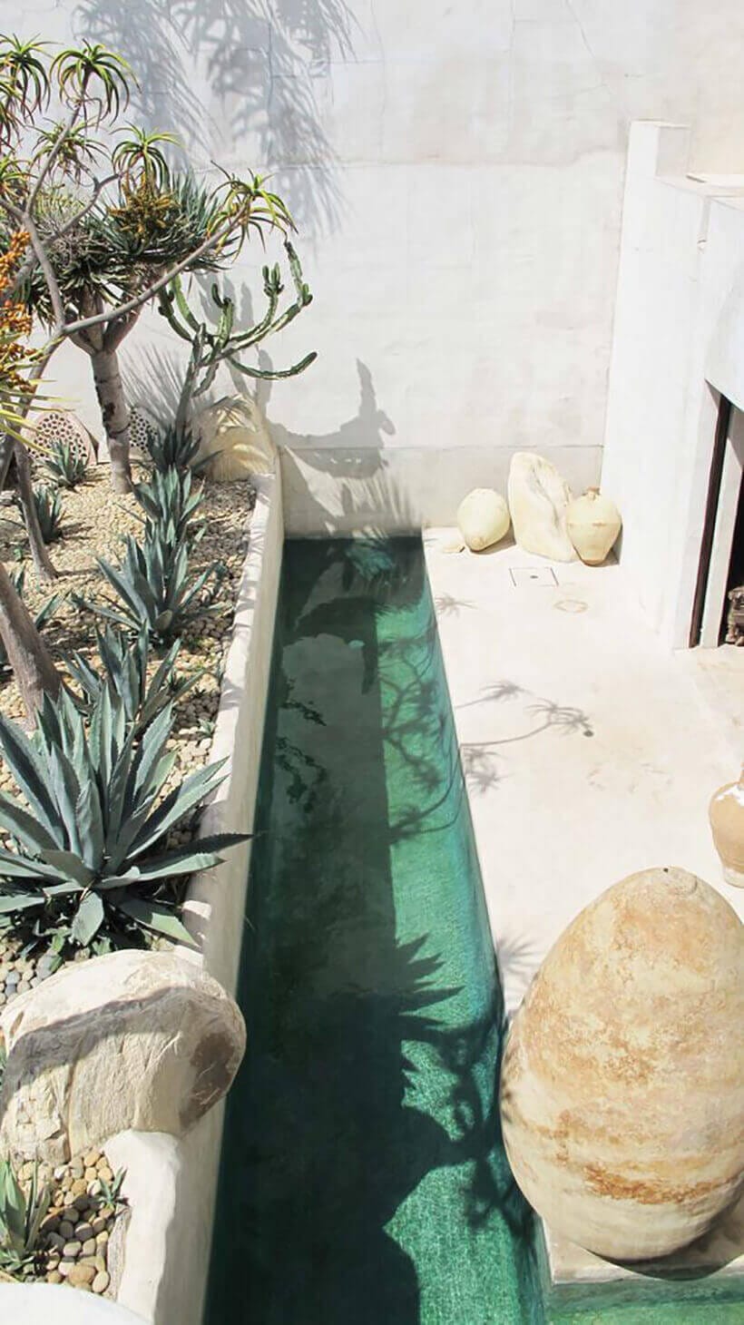Swim spa surrounded by xerophytic plants like agave, smooth concrete channel, and natural stones, creating a tranquil outdoor setting.