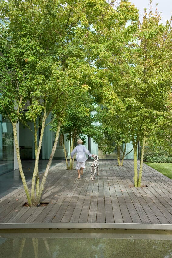 Wood deck spans 20x10 feet, framed by young trees. Lush lawn complements the design, enhancing outdoor interaction with nature.