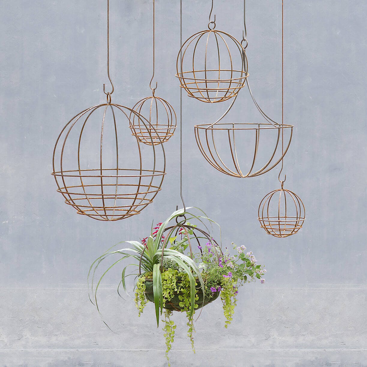 Geometric wire hanging planters in various shapes, featuring lush greenery and colorful flowers, perfect for indoor or outdoor vertical gardening.
