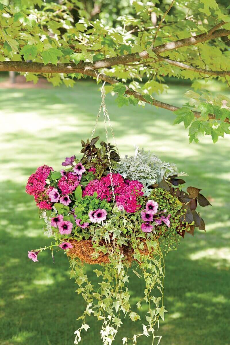 Vibrant hanging basket featuring seasonal flowers like petunias and geraniums, suspended by a silver chain, enhancing outdoor decor.