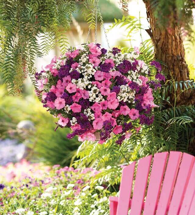 Vibrant hanging flower arrangement with pink, purple, and white blooms, suspended from a tree, enhancing outdoor decor near a pink Adirondack chair.