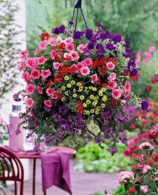 Vibrant hanging basket with pink, purple, and red flowers, including petunias, violas, and daisies, cascading 1.5m above a patio.