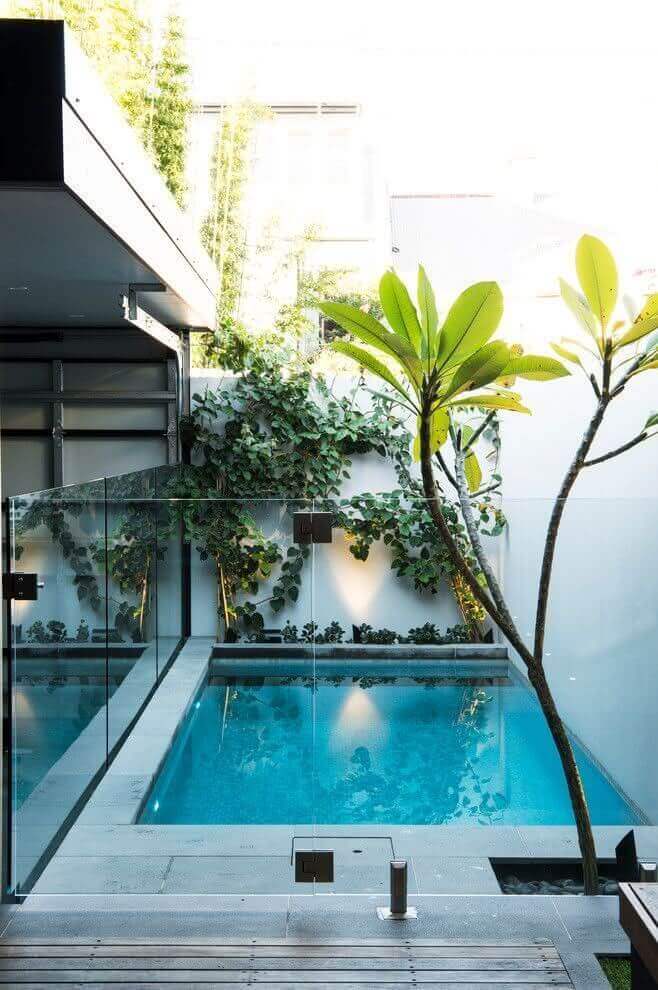 Rectangular swimming pool with turquoise tiles, surrounded by a glass barrier, lush greenery, and a tree, in a sunlit courtyard.