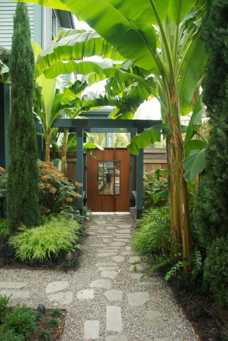 The darkest shades of green look amazing in these kinds of gardens, combined with deep reds that pop out and give it a live feeling to your tropical landscaping ideas.