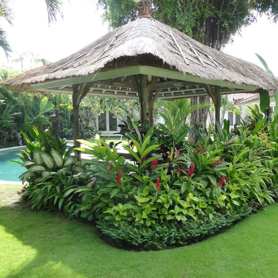 The darkest shades of green look amazing in these kinds of gardens, combined with deep reds that pop out and give it a live feeling to your tropical landscaping ideas.