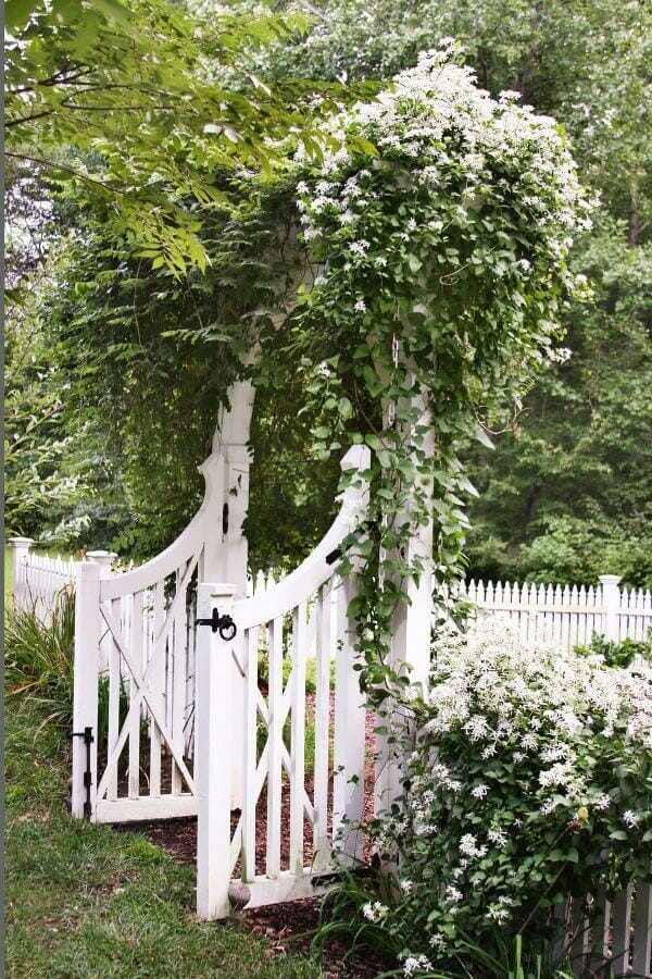 Graced by flowering vines, a white wooden gate leads to a garden with cascading white flowers, enhancing curb appeal and charm.