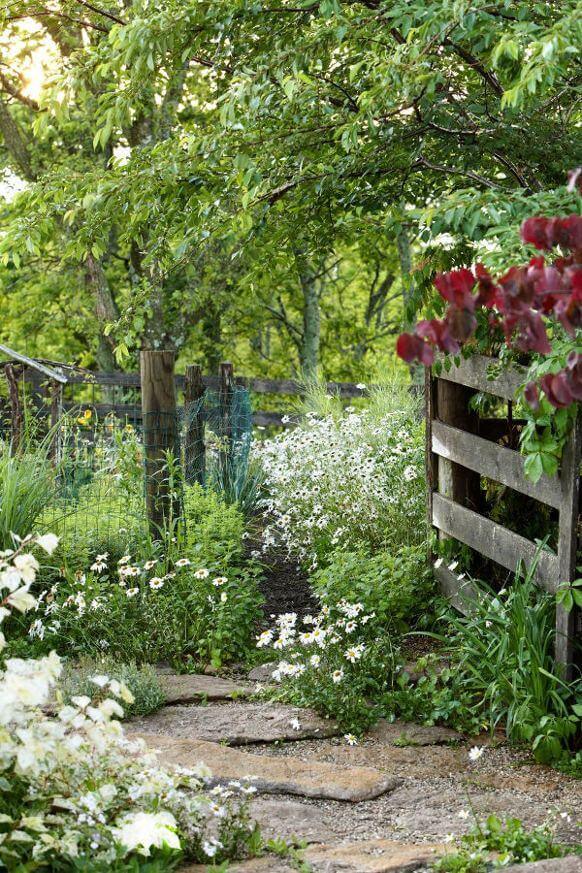 Winding stone path flanked by lush flowering plants and white daisies, leading to a rustic wooden fence, shaded by leafy trees.