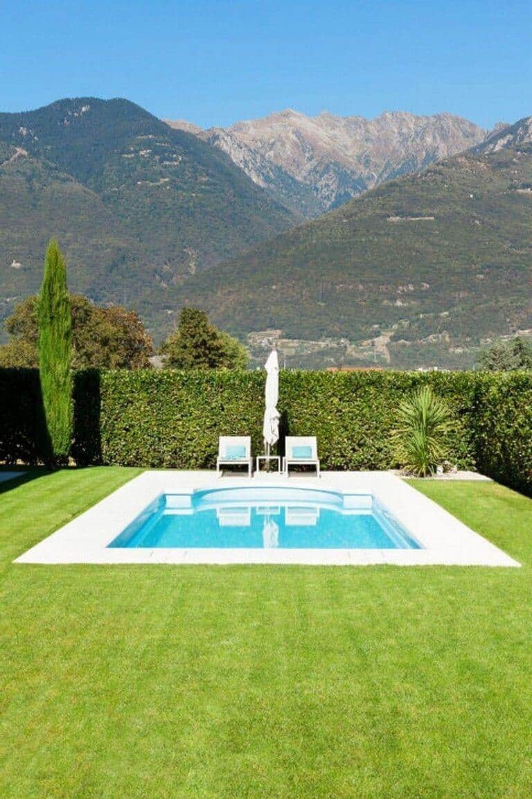 Rectangular inground pool (4m x 6m) surrounded by a paved deck, lush grass, low hedge, and lounge chairs with an umbrella, ideal for relaxation.