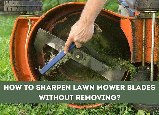 How to sharpen lawn mower blades without removing Them?