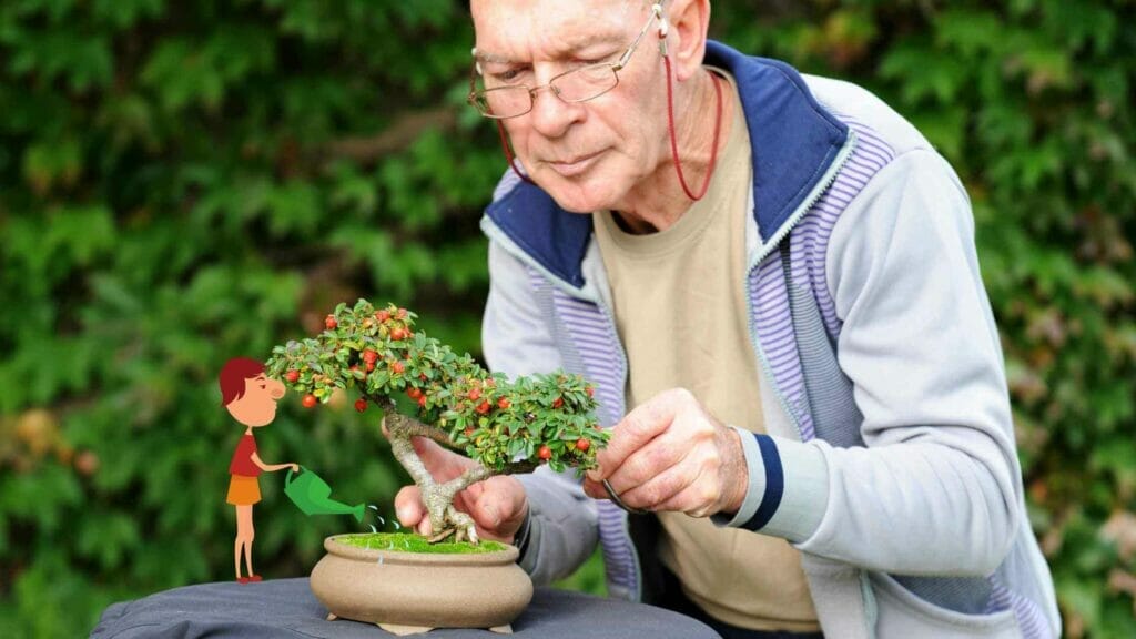 Photo of a man pruning a bonsai tree.