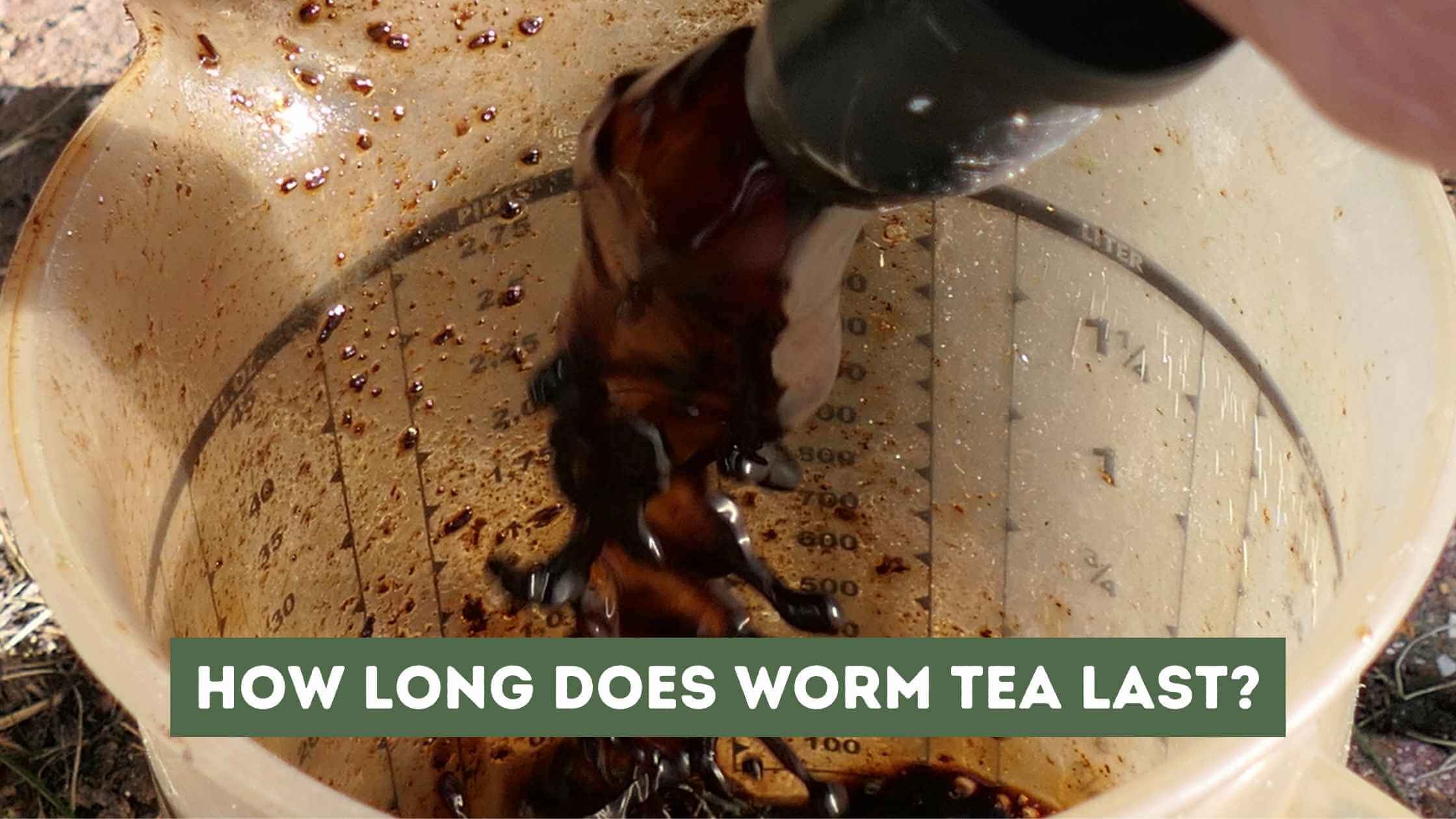 How Long Does Worm Tea Last