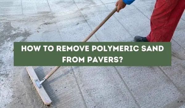 How to Remove Polymeric Sand from Pavers? (Explained)