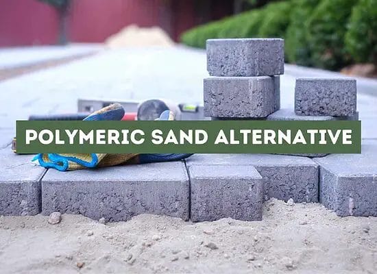 Polymeric Sand Alternative (A Comprehensive Guide)