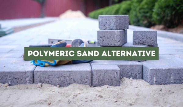 Polymeric Sand Alternative (A Comprehensive Guide)