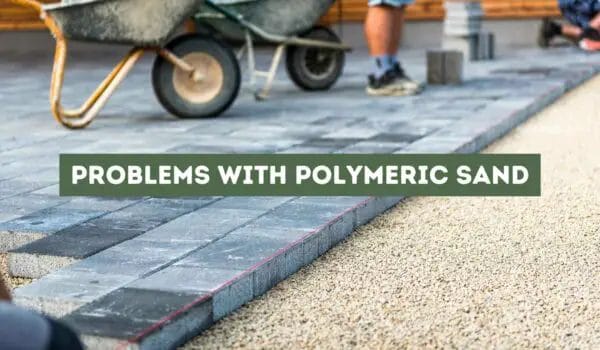 Problems with Polymeric Sand (Common Issues and Solutions)