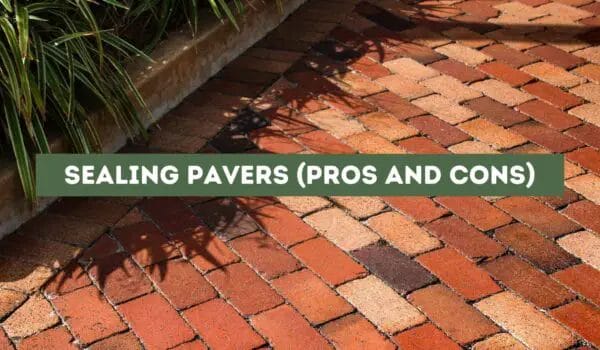 Sealing Pavers (Pros and Cons)