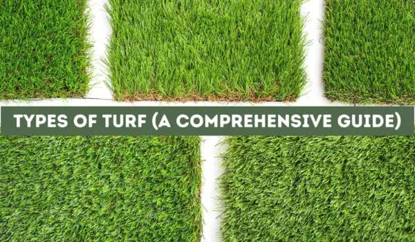 Types of Turf (A Comprehensive Guide)