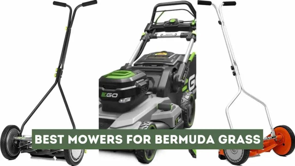 Photo with 3 of the best mowers of bermuda grass on a white background.