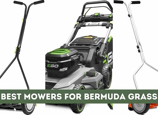 9 Best Mowers for Bermuda Grass (Top Picks for a Perfect Cut)