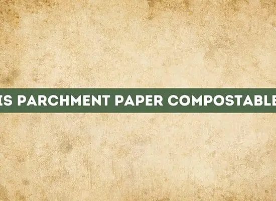 Is Parchment Paper Compostable? (Your Answer)