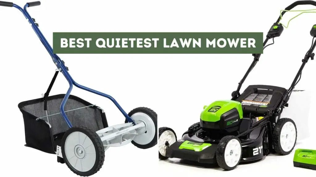 Photo of a blue push lawn mower on the left and a black and green electric lown mower on the right. Best Quietest Lawn Mower.
