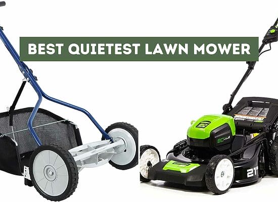 8 Best Quietest Lawn Mower (Peaceful Lawn Maintenance)