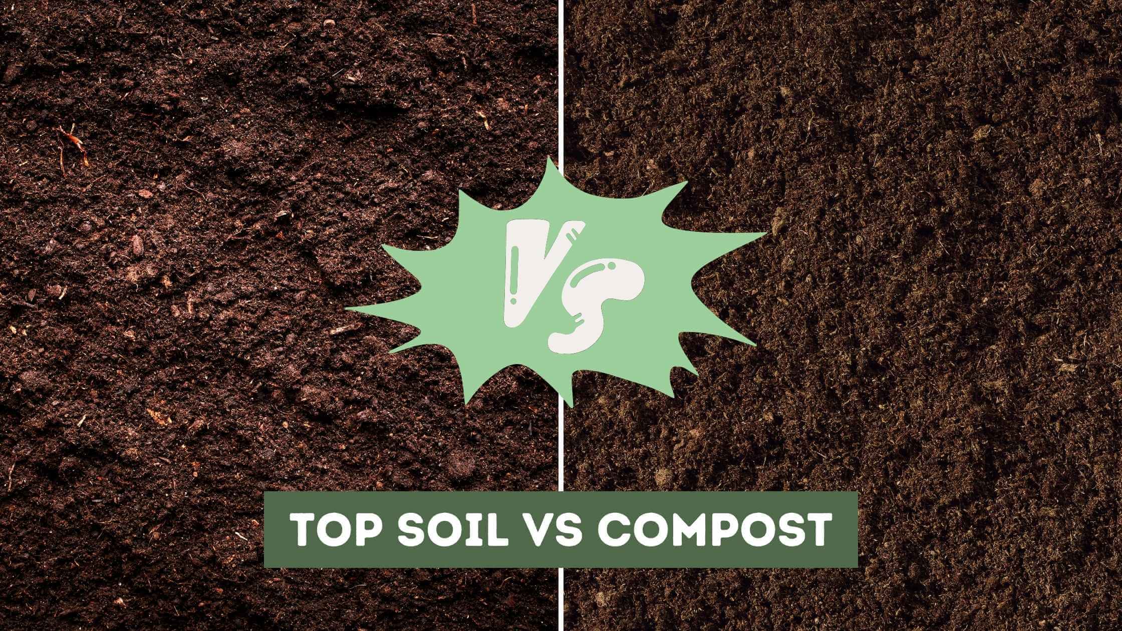 Top Soil vs Compost (Differences Explained)