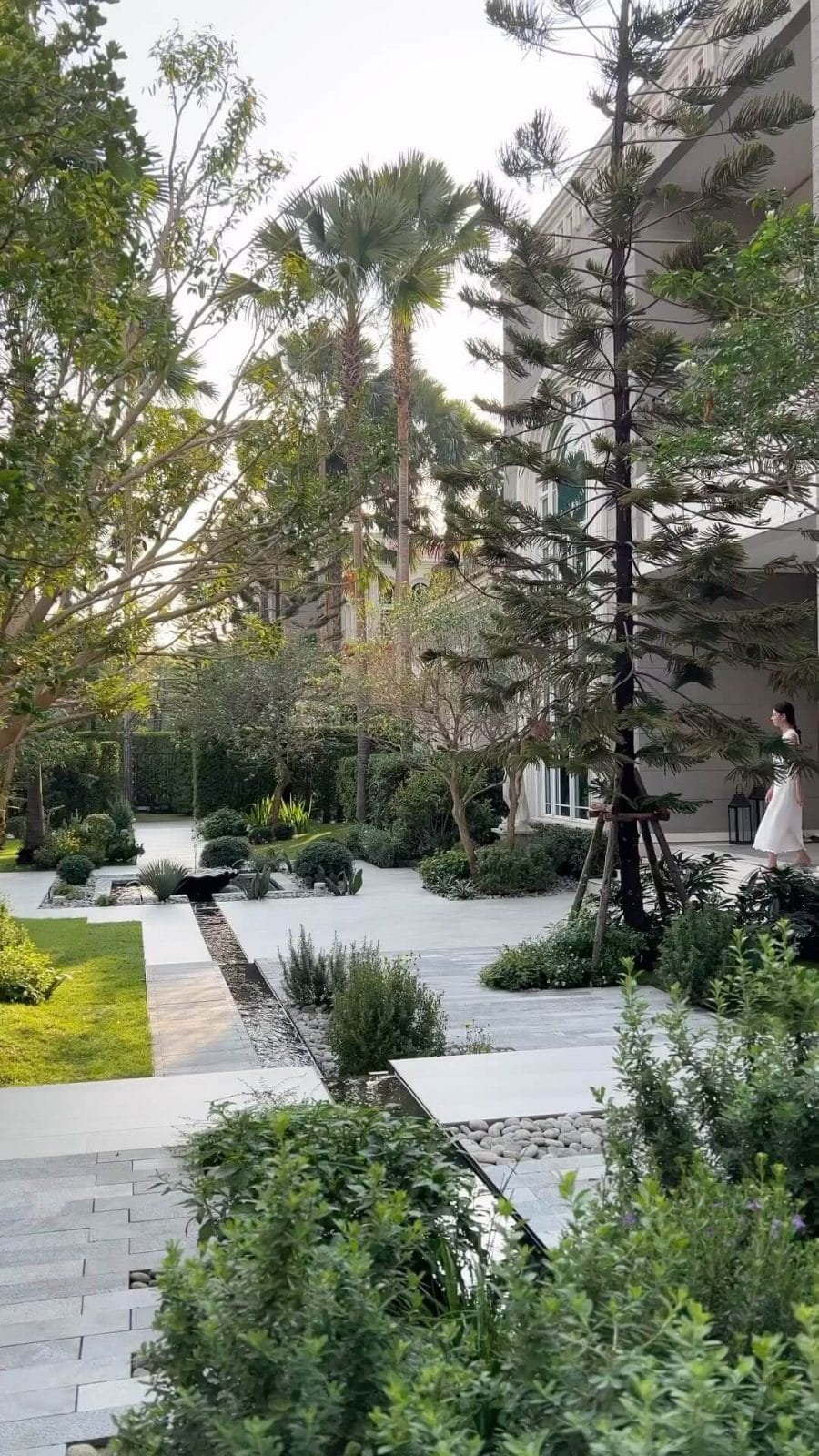 Landscaped garden with concrete pavers, low-maintenance plants, mature palms, and native shrubs, designed for a modern, budget-friendly outdoor space.