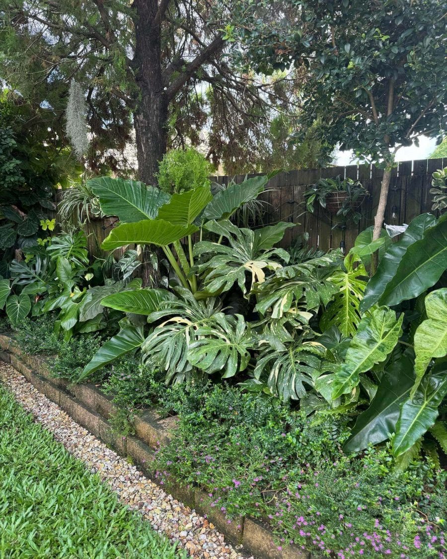 Dense tropical foliage design featuring Monstera and Alocasia plants, natural stone edging, and a layered aesthetic for low-maintenance gardening.